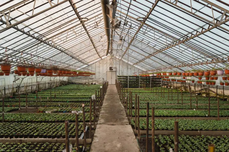 电动工具日常维护保养要点及常见故障排查方法